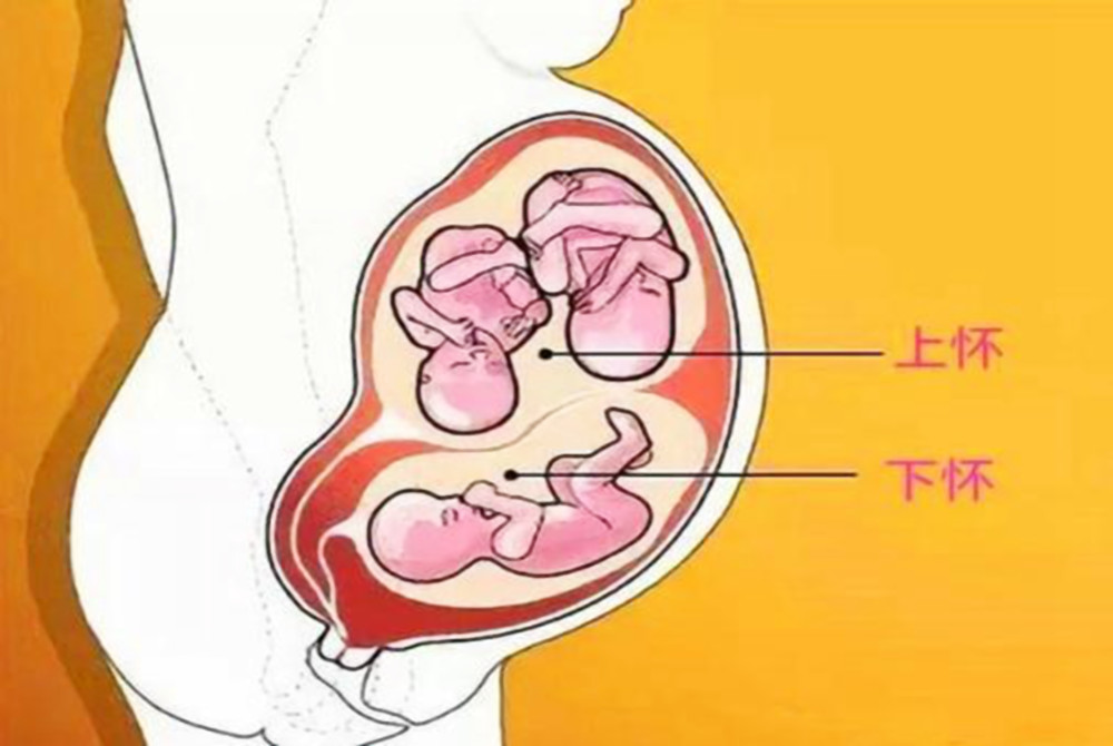 上怀与下怀，孕期不同体征的探究及月份区别