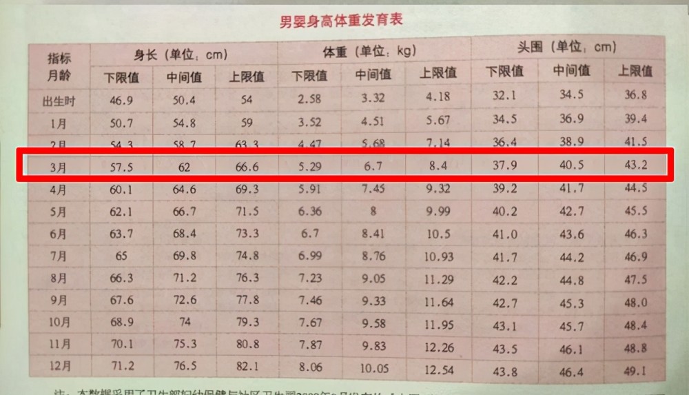 六个月男宝宝身高发育初探