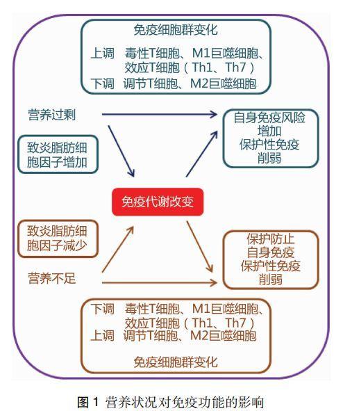 2025年1月25日 第13页