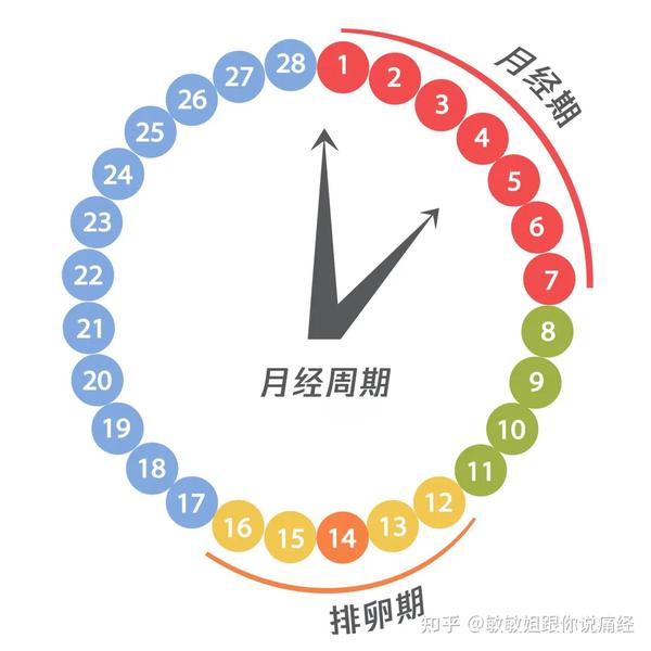 关于月经推迟两个月的深度解析