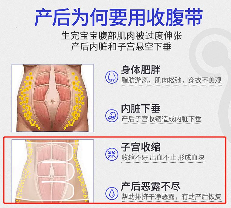 产后六个月肚子依旧显著的原因与应对方法